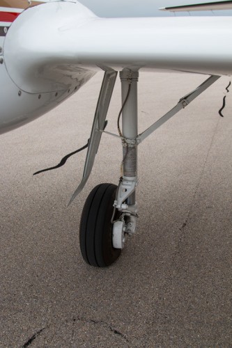 3749.jpg