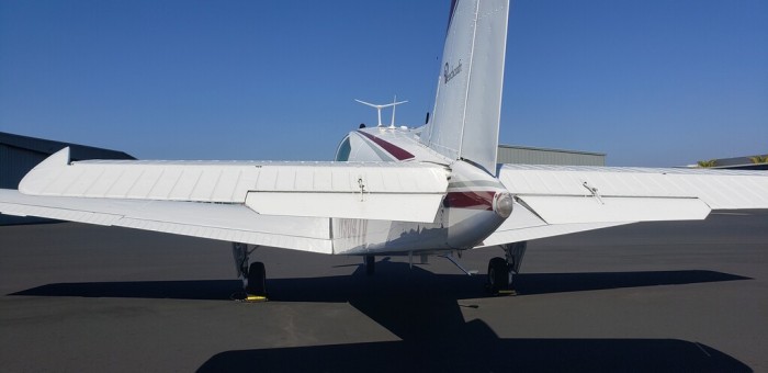 8254.jpg