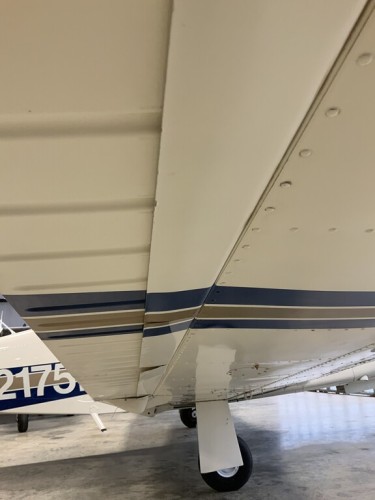 8691.jpg